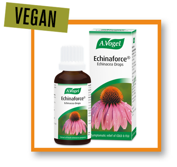 A. Vogel Echinacea Echinaforce® Drops