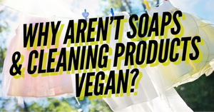 Why aren’t soaps & cleaning products vegan?