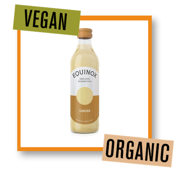 Equinox Organic Ginger Kombucha