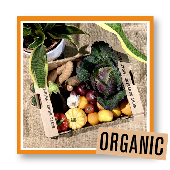 Organic Fruit & Veg Box