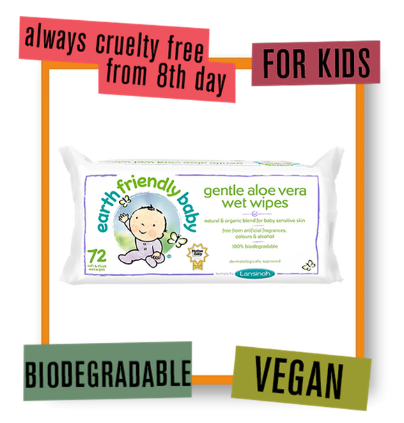 Earth Friendly Baby Eco Baby Wipes
