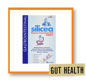 Hubner Silicea Gastro-Intestinal Gel Direct